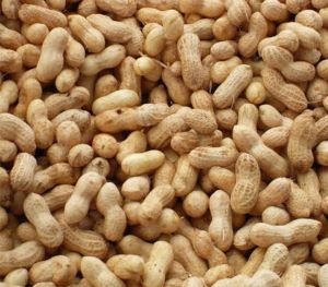 Shelled Groundnuts