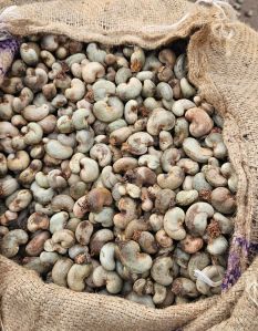 Raw Cashew Nuts