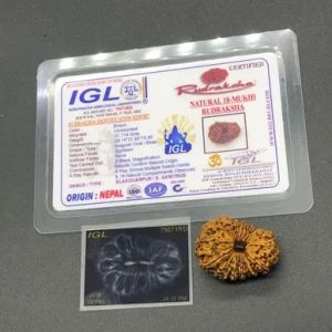 18 Mukhi Rudraksha Beads