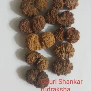 Gauri Shankar Rudraksha Beads