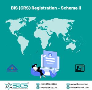 BIS CRS Certificate Consultant