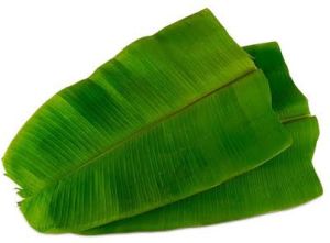 Head Banana Leaf