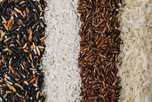 Fortified Rice Kernels