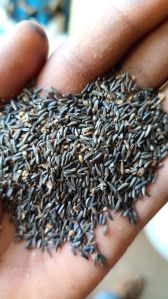 Niger Seeds