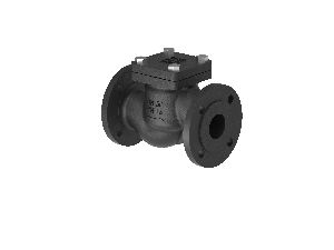 Lift Check Valve