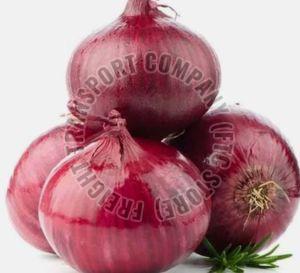 Onion