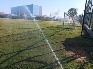 Natural Grass Mat