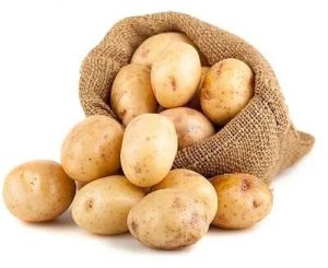 Fresh High Quality Potato