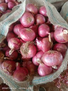 Onions