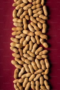 Peanut Kernels