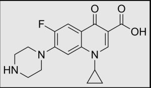 ciprofloxacin base powder