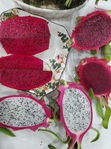 Dragon fruit