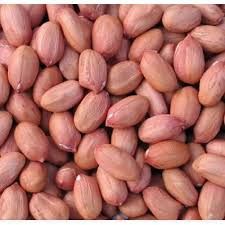 groundnuts seeds