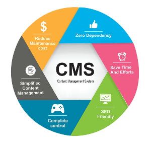 Content Management System