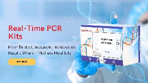 real time pcr kits