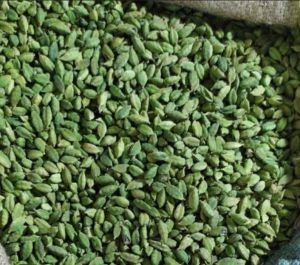 Green Cardamom