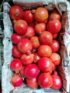 pomegranate fruit