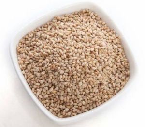 Natural Sesame Seeds