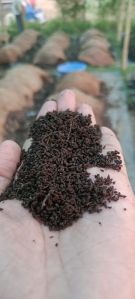 Organic Vermicompost Fertilizer