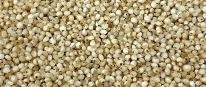 Barnyard millet - semi polished