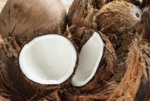 Coconut