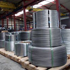 Stainless Steel Wires