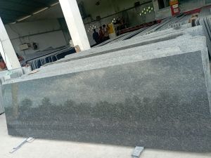 Steel Grey Granite Slabs