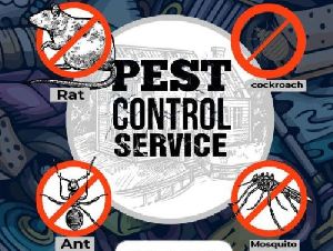 Pest Control Services