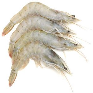 Prawns