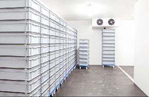 Industrial Cold Room Storage Service