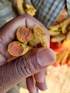 Dry Turmeric