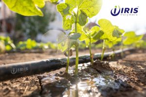 Drip Irrigation