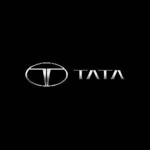 Tata Car Repair Services