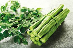 Moringa Extract