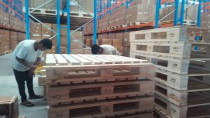 Wooden Euro Pallets