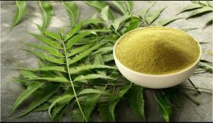 neem flower powder