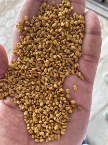 Methi Dana Fenugreek Seeds