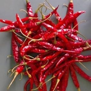 Guntur Red Chilli