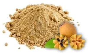 Spray Dried Chikoo Powder