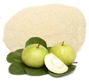 Spray Dried Guava Powder