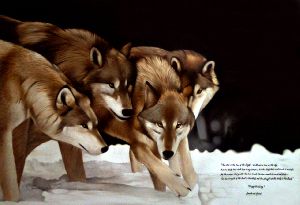 wolf paintings