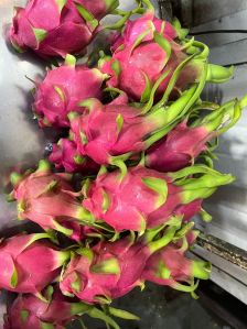 Dragon fruit