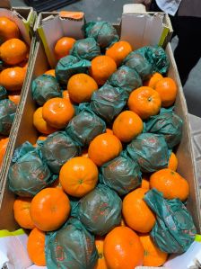 mandrin malta oranges