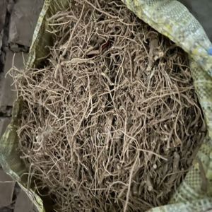 Ashwagandha husk root