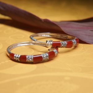 Stylish Silver Red Hoop Earrings