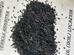 Black Sesame Seeds