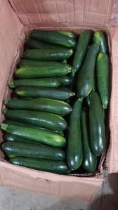 Fresh Zucchini