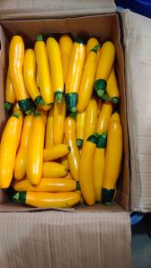 Yellow Zucchini