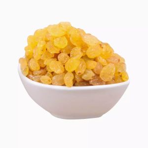 Yellow Raisins