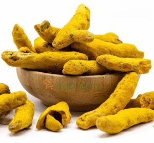 Lakadong Turmeric Finger